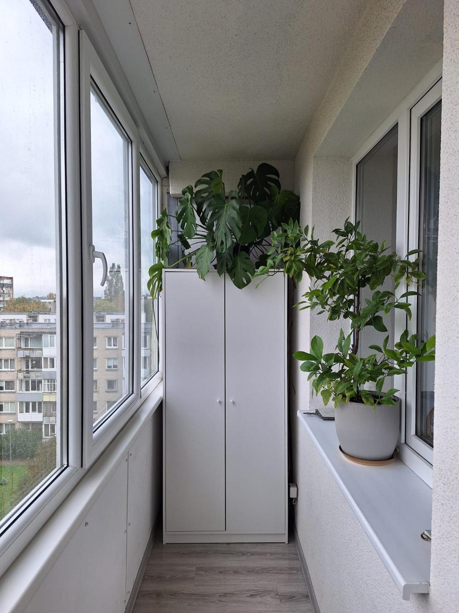 Debreceno-Park Apartments Klaipeda Exterior photo
